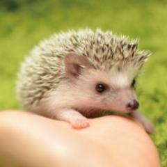 独り言ーー(⑉︎• •⑉︎)♡︎