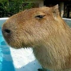 グラブルツライなぁ