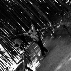 暇なんです。誰か構って下さい