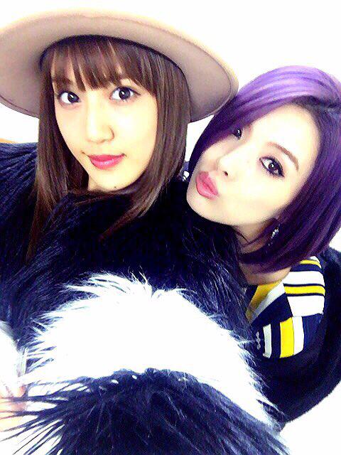 ๆ็จฟ็ปๅ