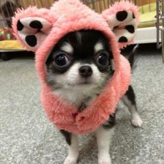 ビー玉じじぃ