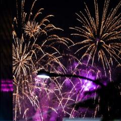 とんかちトーク趣味は、競馬🐎💴