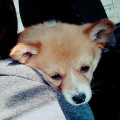 暇人かもーん。