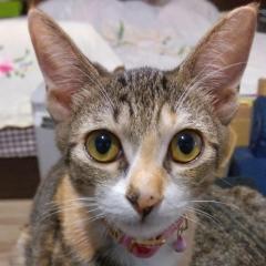 xdjordan(チェン)のトーク