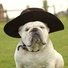 Jack Dogのトーク