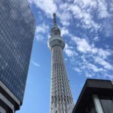 とりあえずみんな、来い( ´Д`)y━･~~