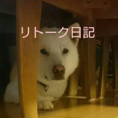 リトーク日記