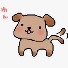 ごんすけ
