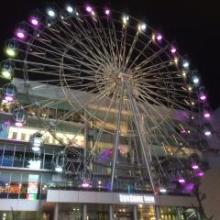 🐾松本慈子LOVE🐾