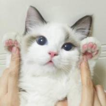 EiffelXu22のトーク