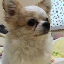 エミリー❤︎のトーク