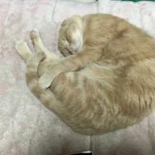 あやのんのトーク