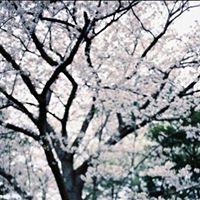 Hudson Chanのトーク