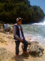 Farisnh