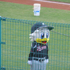 チォン-エン