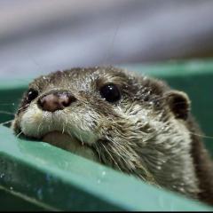 あーしのトーク