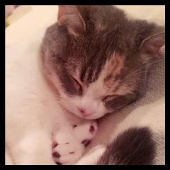 高橋みなみさん応援してます