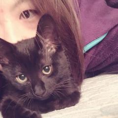 リサリサ先生の日常part2