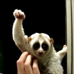 サービス終了真っ只中