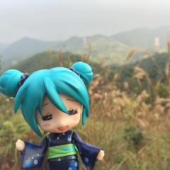 天雪