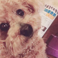 ❥❥ b r i ❀