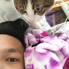 新一のトーク