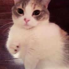 しんちゃんのトーク