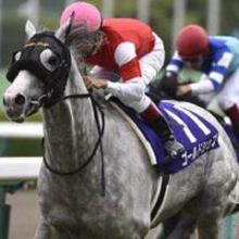 踊るヤツがエラいのだ それがここのルールさ