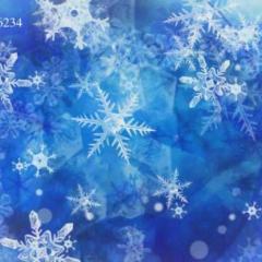 1998の雨夜のトーク