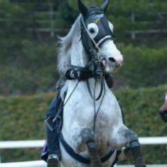 We・💓・競馬🎶