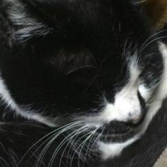 大ちゃん