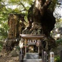 水野雄介のトーク