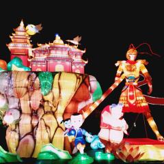 lantern of spring festival