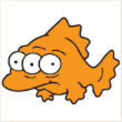 fish961106