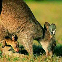 姜禮玄のトーク