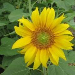 hiroちゃんのトーク