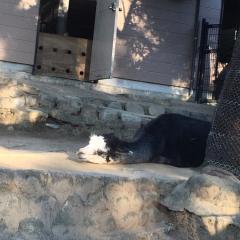 雑談Talk&採点♪