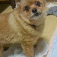 メル１０のトーク