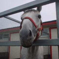 西野圭吾のトーク