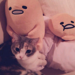 Deep Seaのトーク