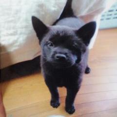 エンテスのトーク