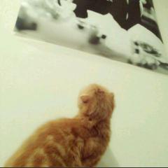 何か話そうよ！