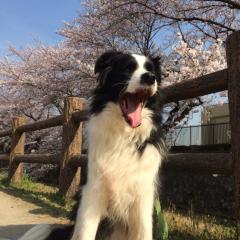 武蔵