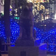 みんなでトーク