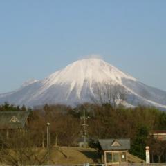 とりたま
