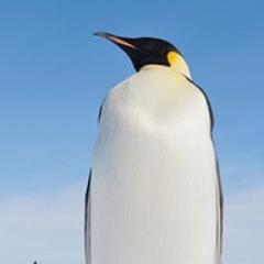 よーた⊿