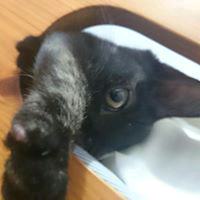 せみんのトーク