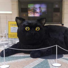 リュウ1121