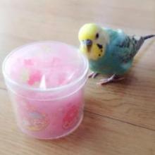 あやねんのトーク