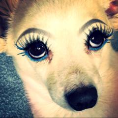 カニカマあーちゃん